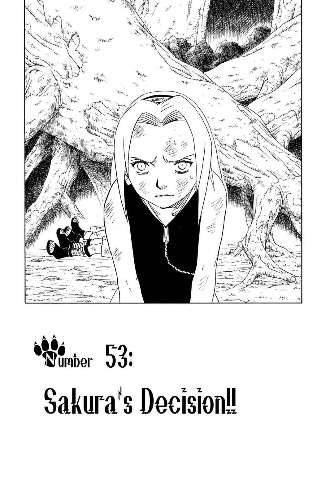 chapter53